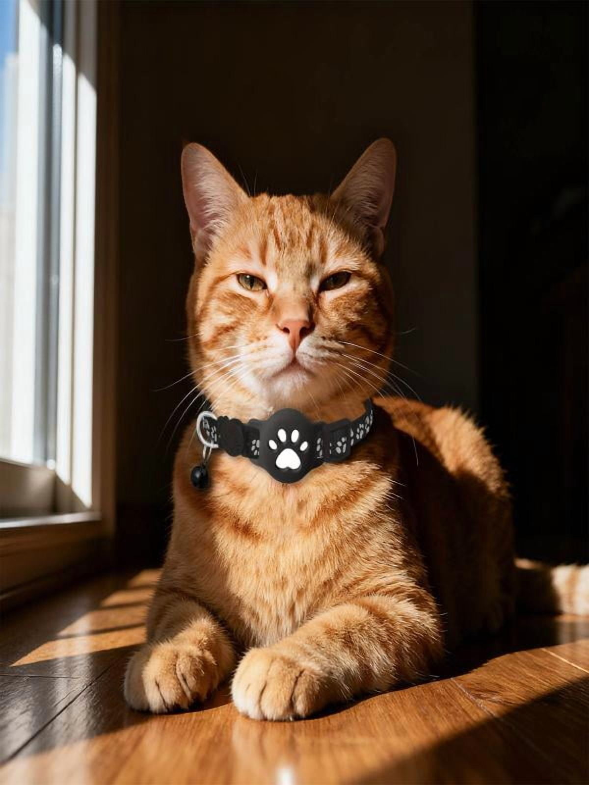 GPS Pet Tracker Collar for Cats Waterproof No Monthly Fee Advanced Tracking Device for Pet Safety