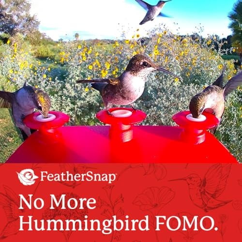 FeatherSnap Smart Hummingbird Feeder with HD Camera  WiFi Solar Bird Feeder with Motion Sensor, App Alerts, Live Video & Photo Capture  1L Nectar Capacity with Pole Stand & Seed Mix