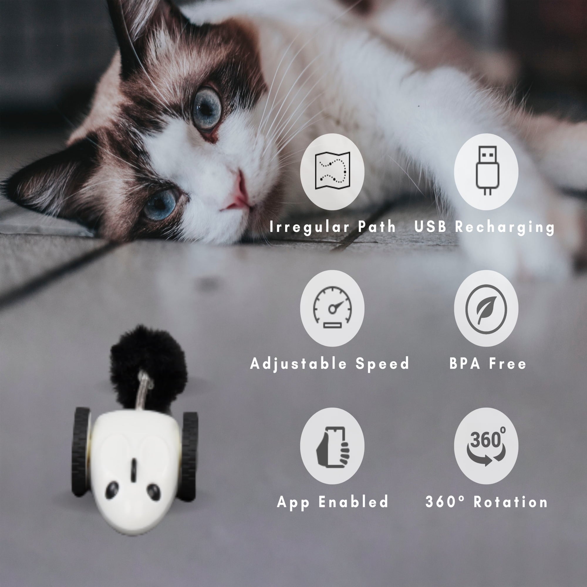 Instachew Purechase Smart Cat Toy, Interactive Automatic Mouse shaped Toy for Pets, App Enabled with Adjustable Speed, Flip Modes, Replaceable Plush Tail and USB Charging for Kittens and Dogs