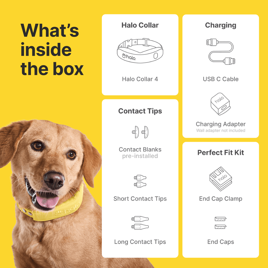 Halo Collar 4, All New GPS Wireless Dog Fence with Real-Time Tracking (Midnight)