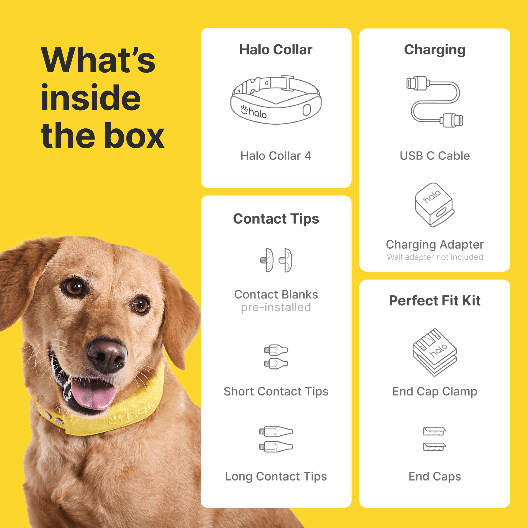 Halo Collar 4, All New GPS Wireless Dog Fence with Real-Time Tracking (Midnight)