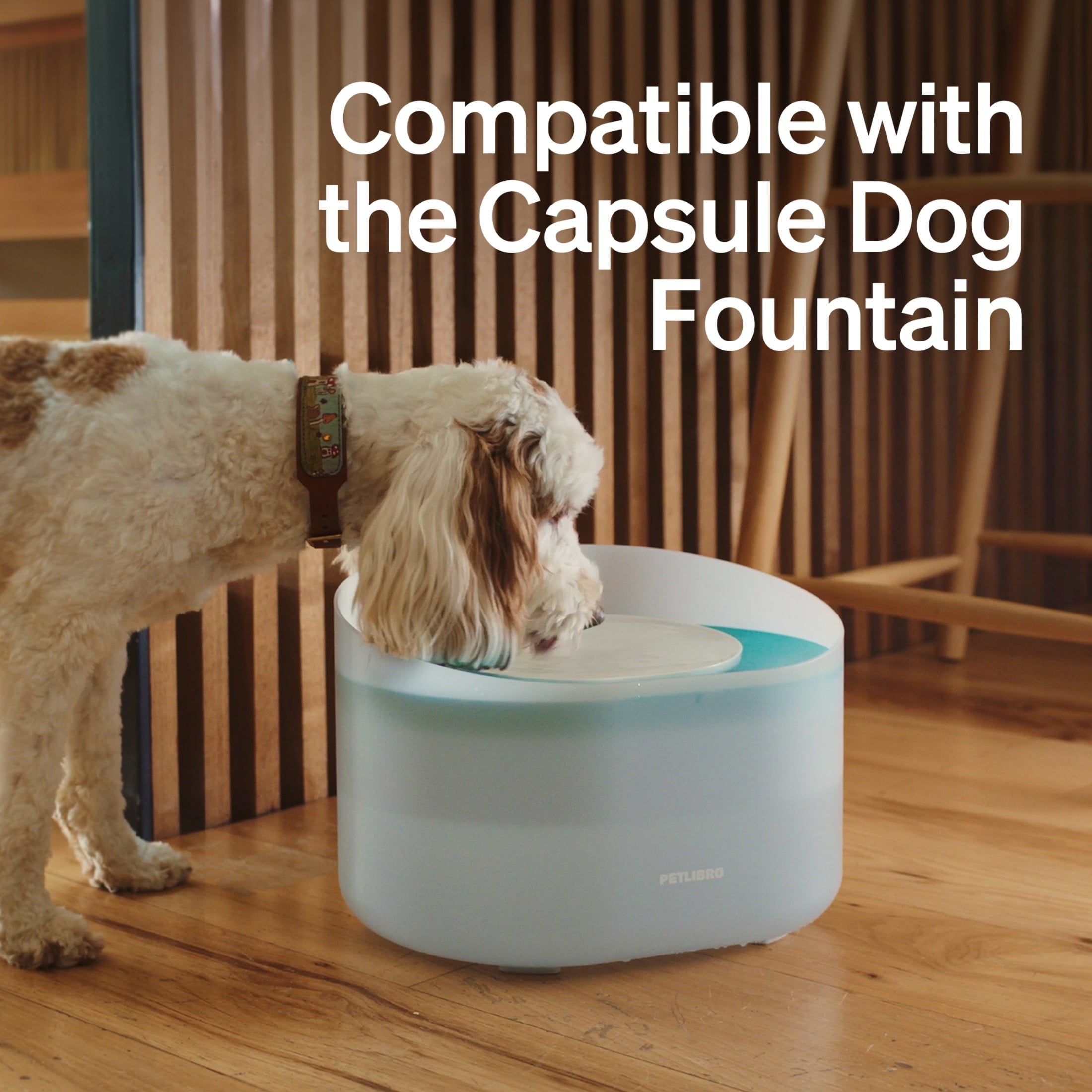 Petlibro Replacement Filters for Capsule Dog Fountain PLWF008; 2-Month Supply, 4-Pack; High-Performance Filtration for Fresh, Clean Water