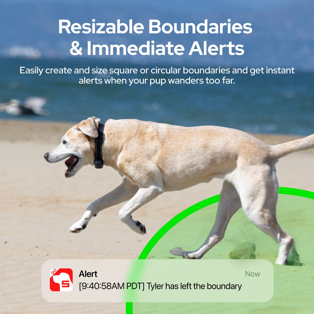 SATELLAI Collar Go, Smart Wireless Fence GPS Dog Collar, Live Tracking & Health Monitoring, 15-Day Max Battery Life (Carbon Black), M(13"-18")