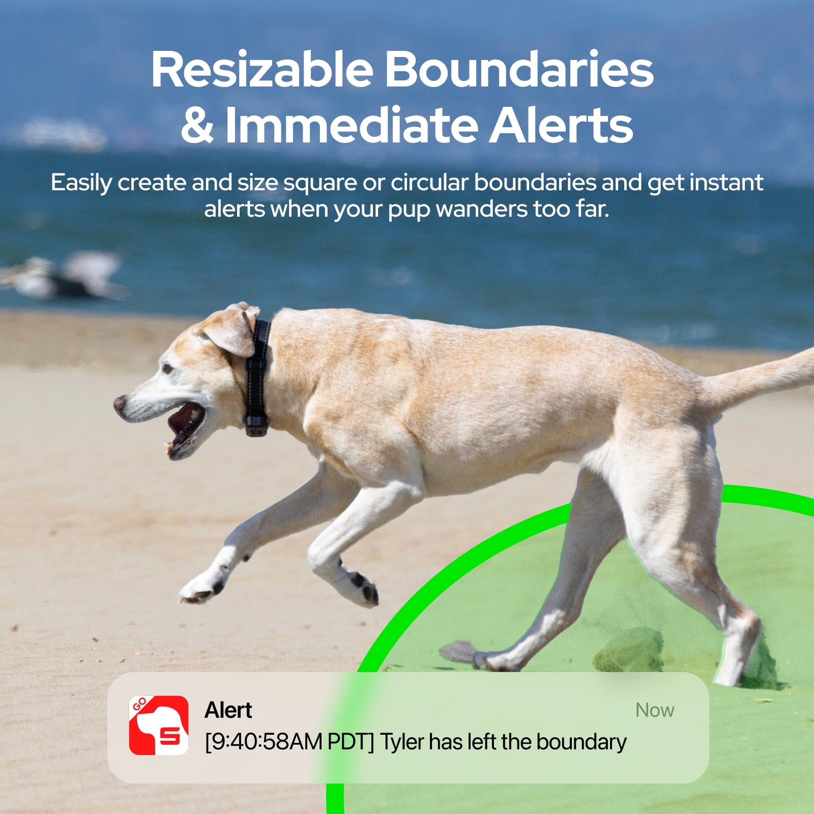 SATELLAI Collar Go, Smart Wireless Fence GPS Dog Collar, Live Tracking & Health Monitoring, 15-Day Max Battery Life (Carbon Black), M(13"-18")