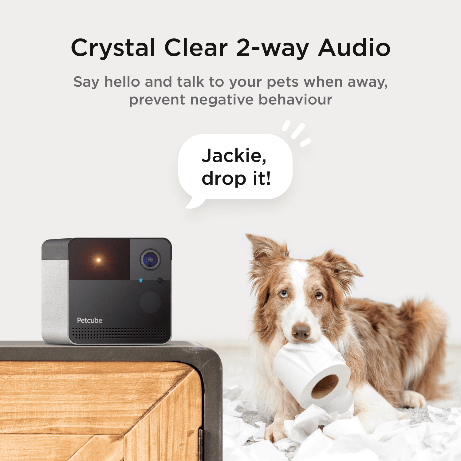 Petcube Play 2 WiFi Pet Camera with Laser Toy, 1080p HD, 160° View, Two-Way Audio, Night Vision, Motion & Sound Alerts, Dog & Cat Monitor with App