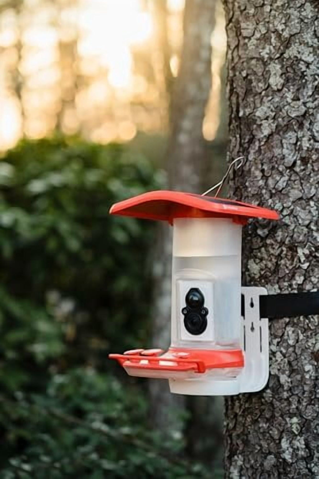 FeatherSnap Smart Hummingbird Feeder with HD Camera  WiFi Solar Bird Feeder, Motion Sensor, App Alerts, Live Video, Photo Capture  1L Capacity, Seed Mix & Cleaning Cloth Included