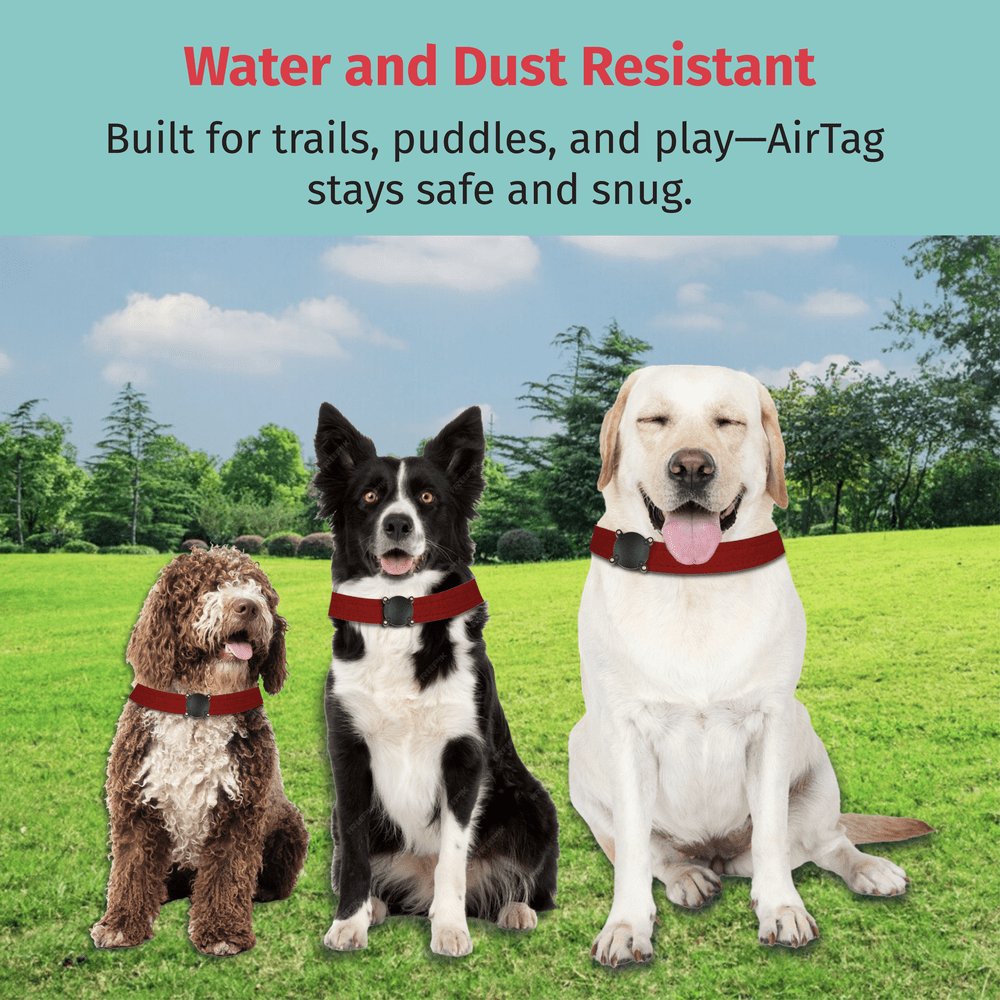 Waterproof ABS Airtag Dog Cat Collar Holder - Durable