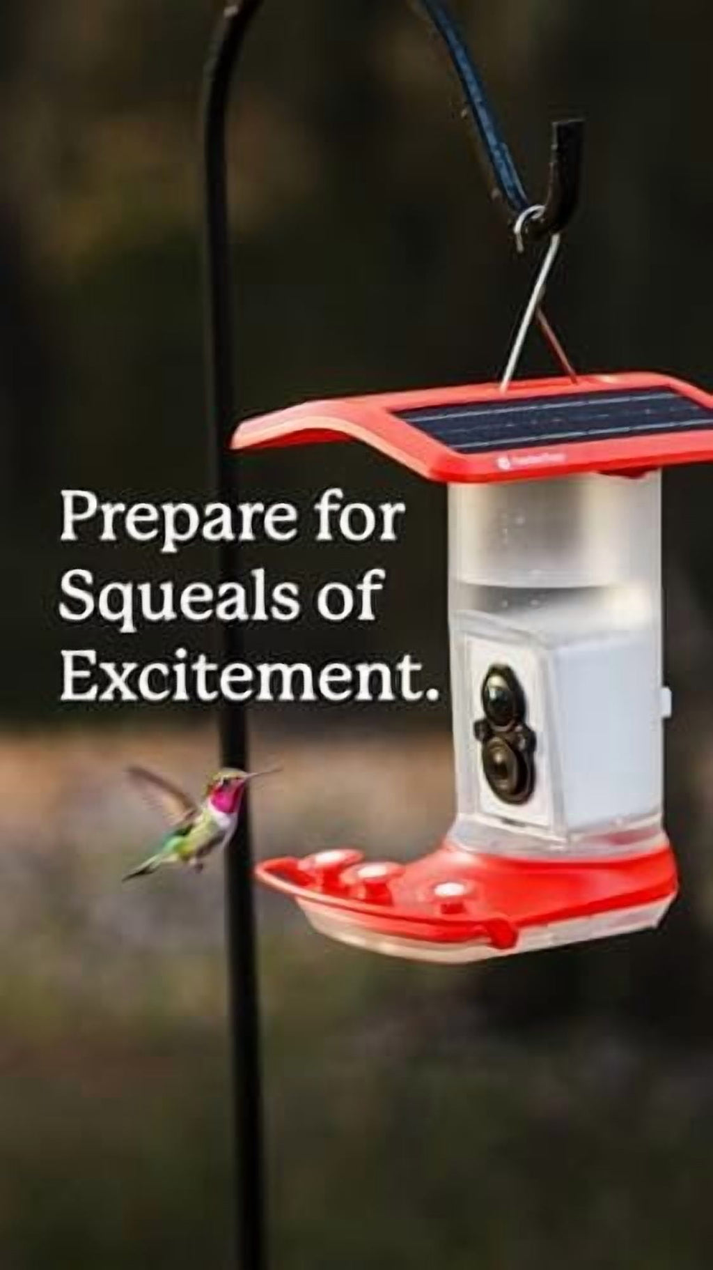 FeatherSnap Smart Hummingbird Feeder with HD Camera  WiFi Solar Bird Feeder, Motion Sensor, App Alerts, Live Video, Photo Capture  1L Capacity, Seed Mix & Cleaning Cloth Included