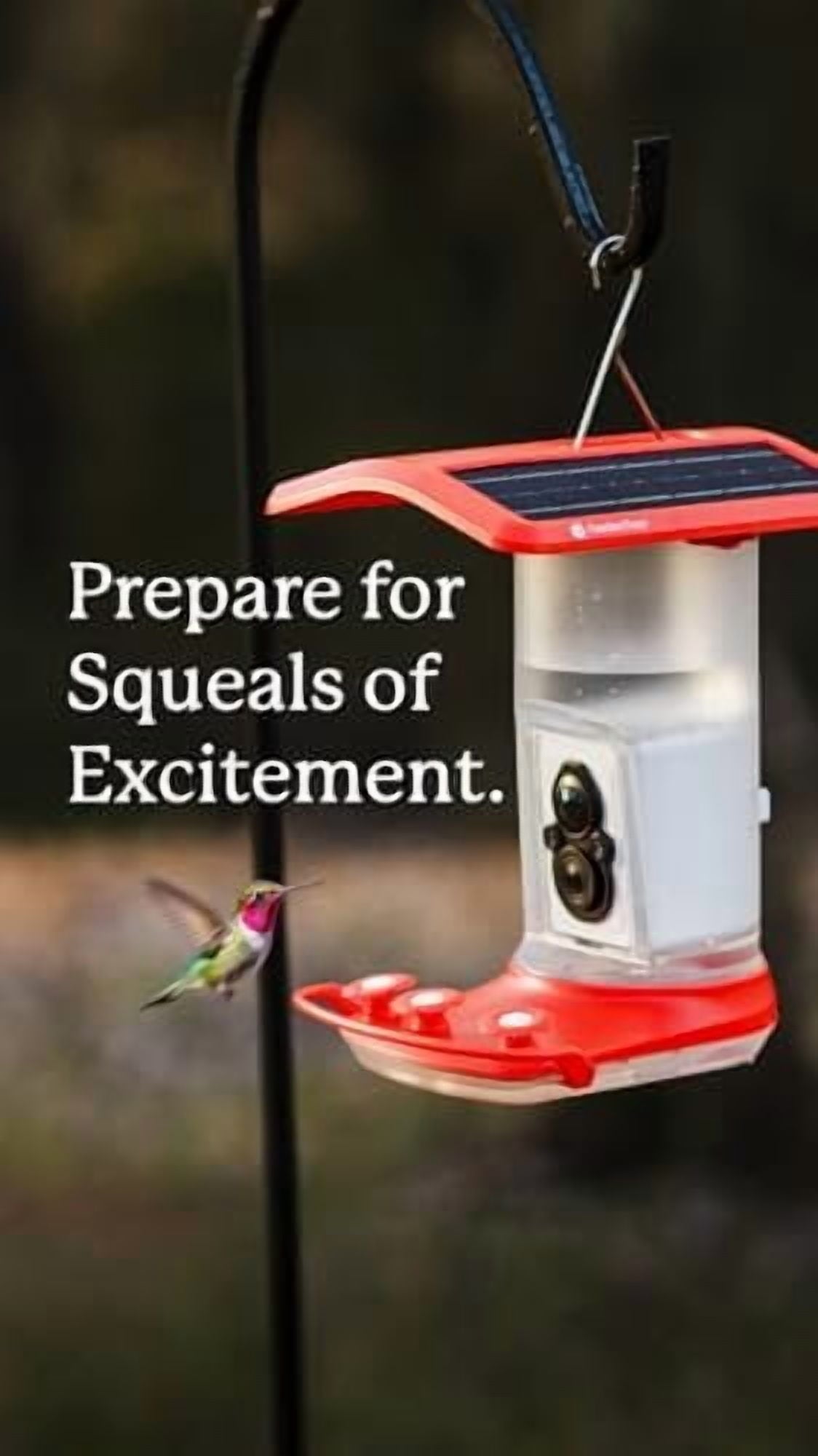 FeatherSnap Smart Hummingbird Feeder with HD Camera  WiFi Solar Bird Feeder, Motion Sensor, App Alerts, Live Video, Photo Capture  1L Capacity, Seed Mix & Cleaning Cloth Included