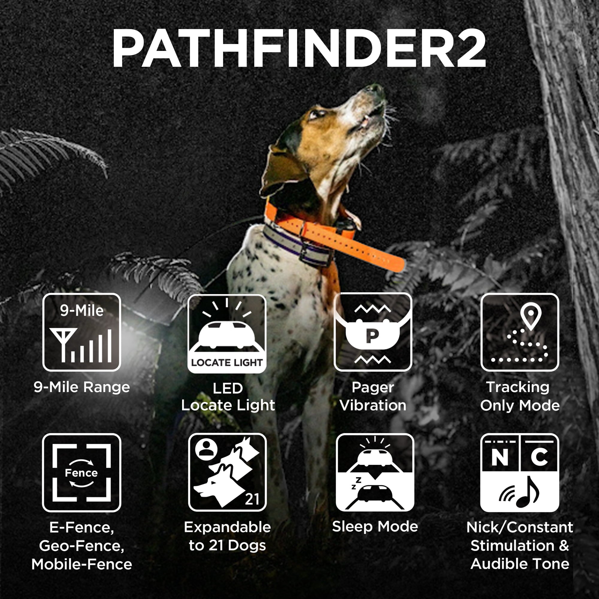 Dogtra Pathfinder 2 Additional Receiver Green Dog GPS Tracker e Collar Green LED Light No Monthly fees Free App Waterproof Smartwatch Control Real Time Tracking Long Range Smartphone Required