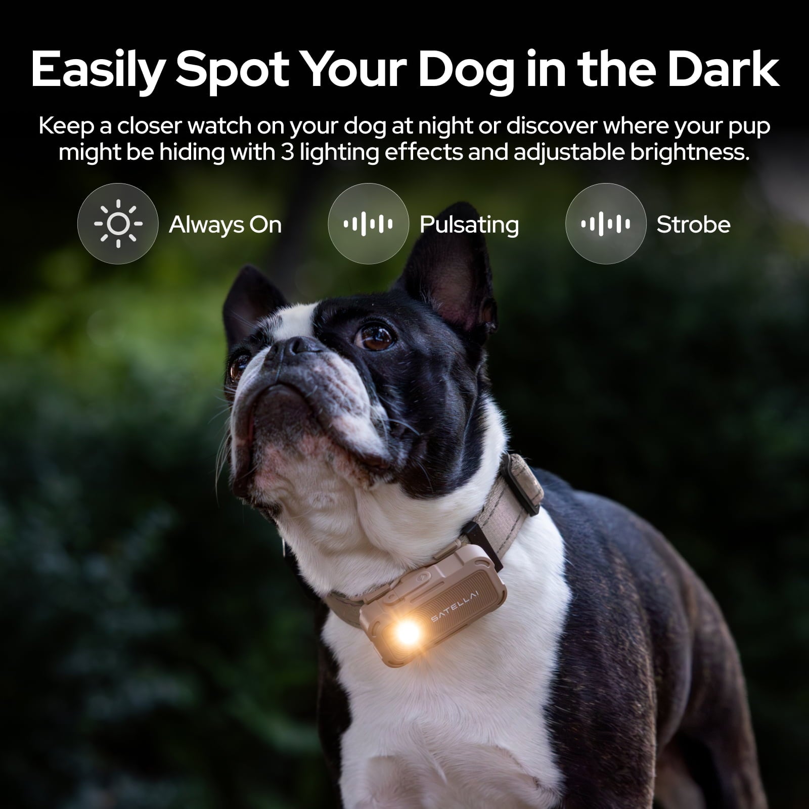 SATELLAI Collar Go, Smart Wireless Fence GPS Dog Collar, Live Tracking & Health Monitoring, 15-Day Max Battery Life (Carbon Black), M(13"-18")