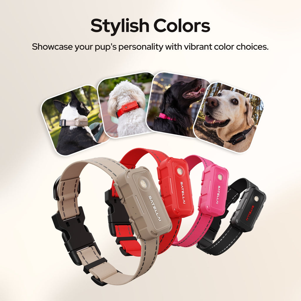 SATELLAI Collar Go, Smart Wireless Fence GPS Dog Collar, Live Tracking & Health Monitoring, 15-Day Max Battery Life (Carbon Black), M(13"-18")