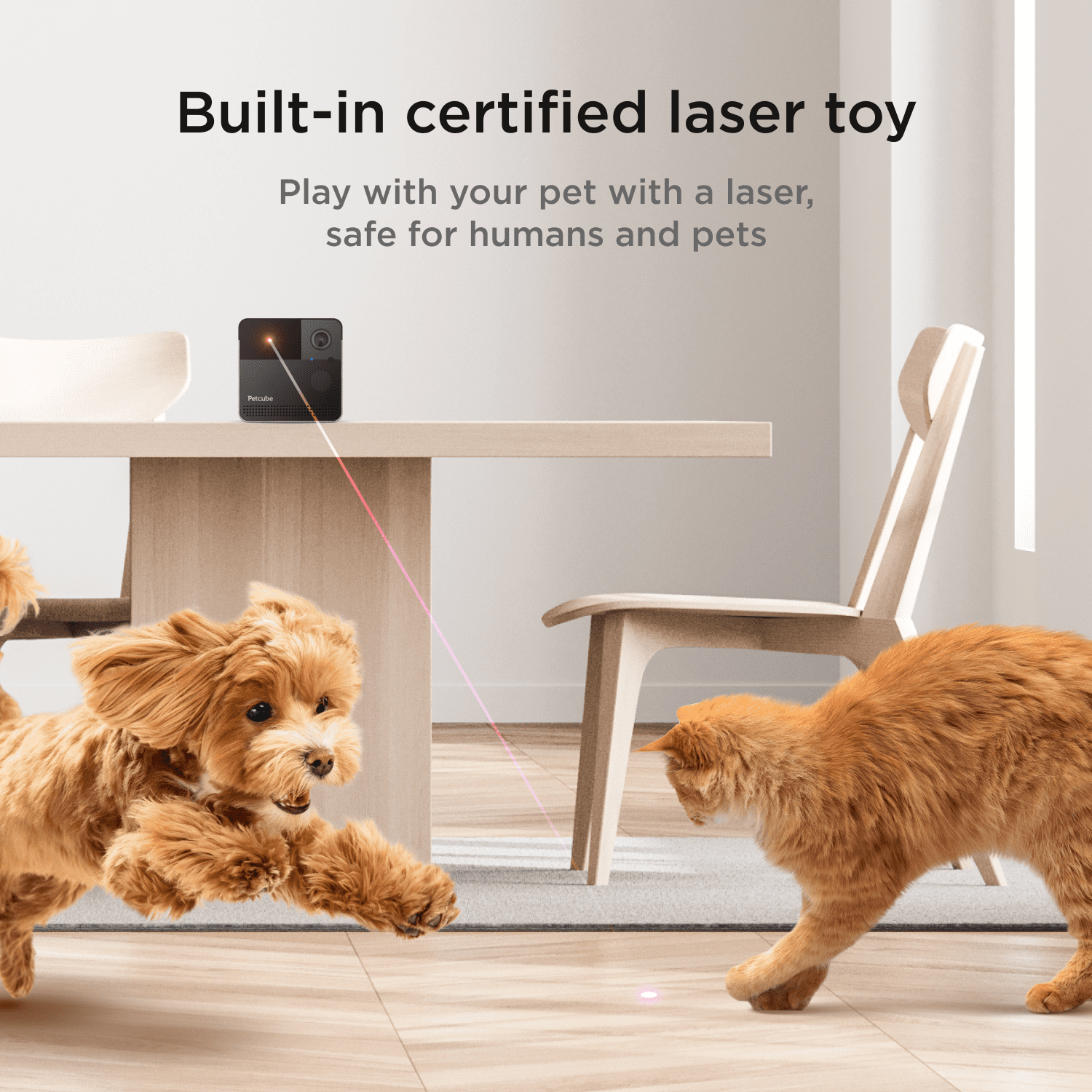 Petcube Play 2 WiFi Pet Camera with Laser Toy, 1080p HD, 160° View, Two-Way Audio, Night Vision, Motion & Sound Alerts, Dog & Cat Monitor with App