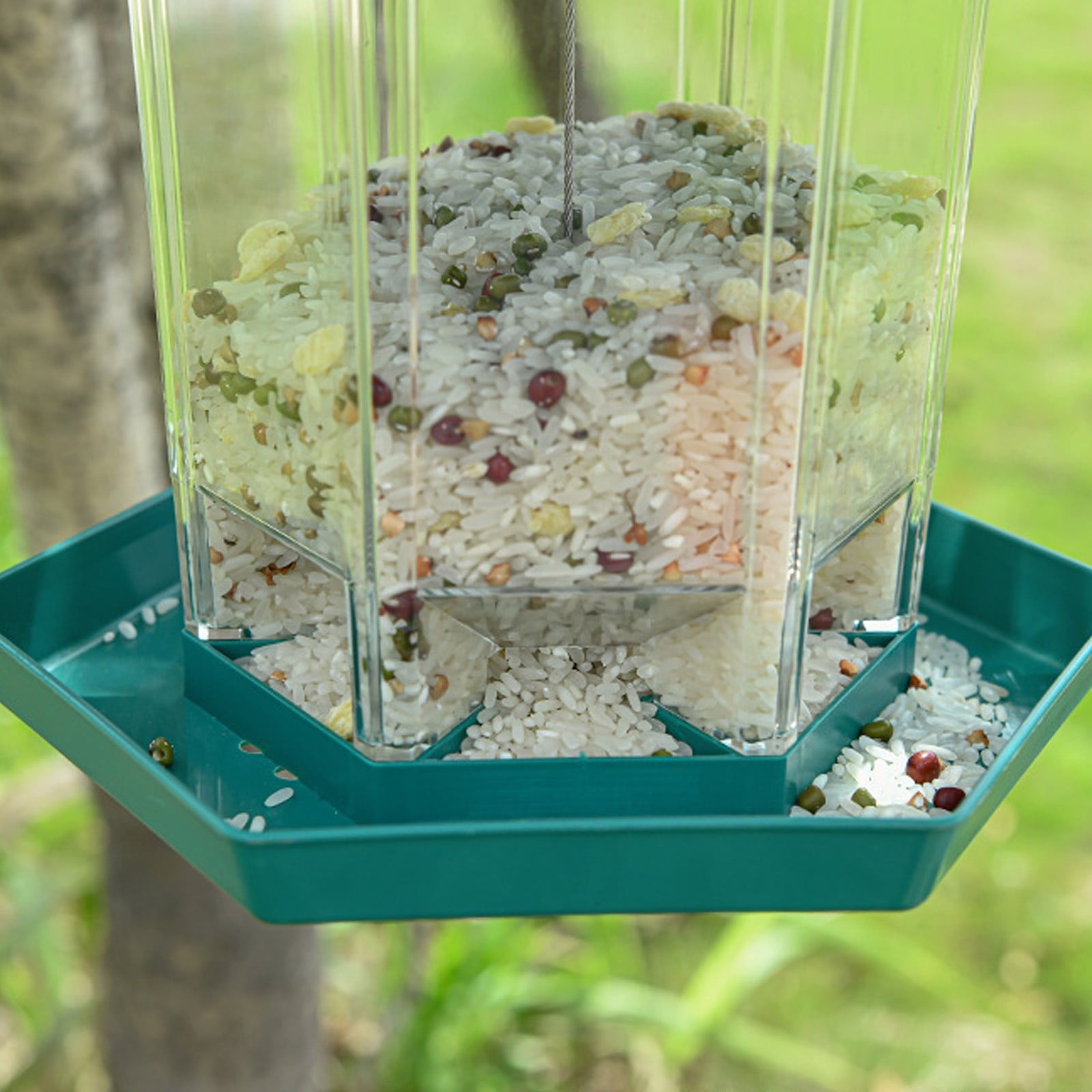 **Bird Feeder with 1080P HD WiFi Camera & Night Vision – Remote Live Streaming to Phone, 170° View & Built-In Mic for Bird Watching Enthusi