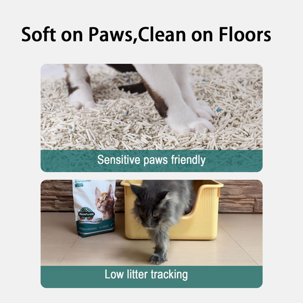 6 Pack Tofu Tapioca Cat Litter - Flushable Quick Clumping Low Dust Odor Control, for Automatic Litter Boxes Sensitive Paws, Ideal for Smart Litter Trays Multi-Cat Households