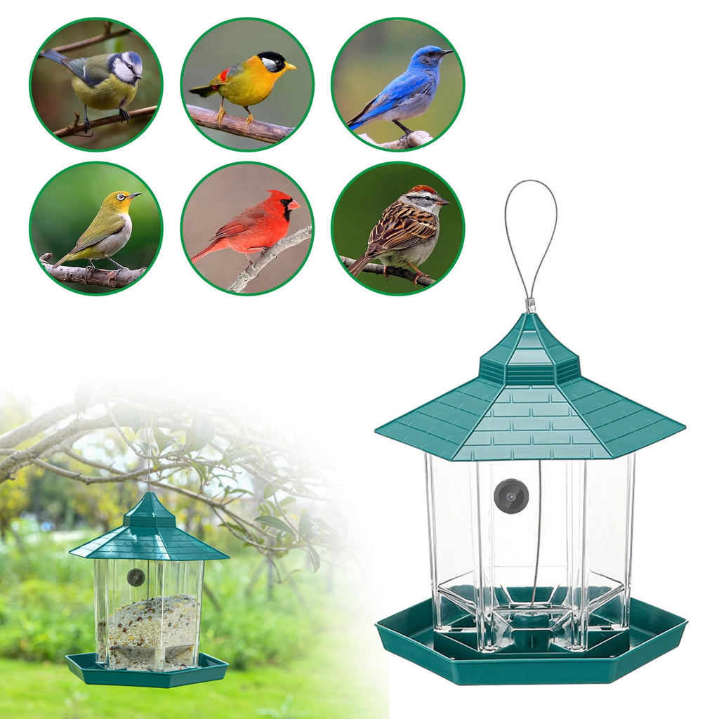 **Bird Feeder with 1080P HD WiFi Camera & Night Vision – Remote Live Streaming to Phone, 170° View & Built-In Mic for Bird Watching Enthusi