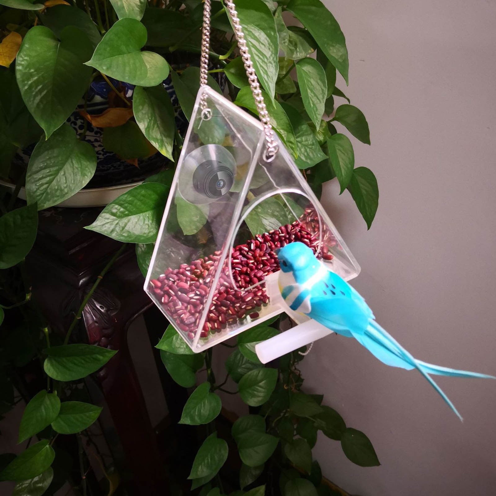 COFEST Bird Feeder with Camera 1080P, WiFi Bird Watching Camera, Outdoor Bird Monitoring Device, HD Night Vision Bird Feeder Cam Black