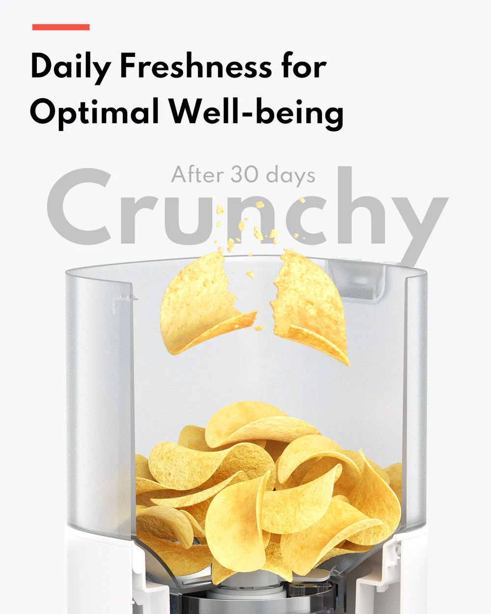 homerun Pet Automatic Smart Feeder, Timed Dosing, Anti Grain Jamming Design, 4L capacity, Ceramic Version