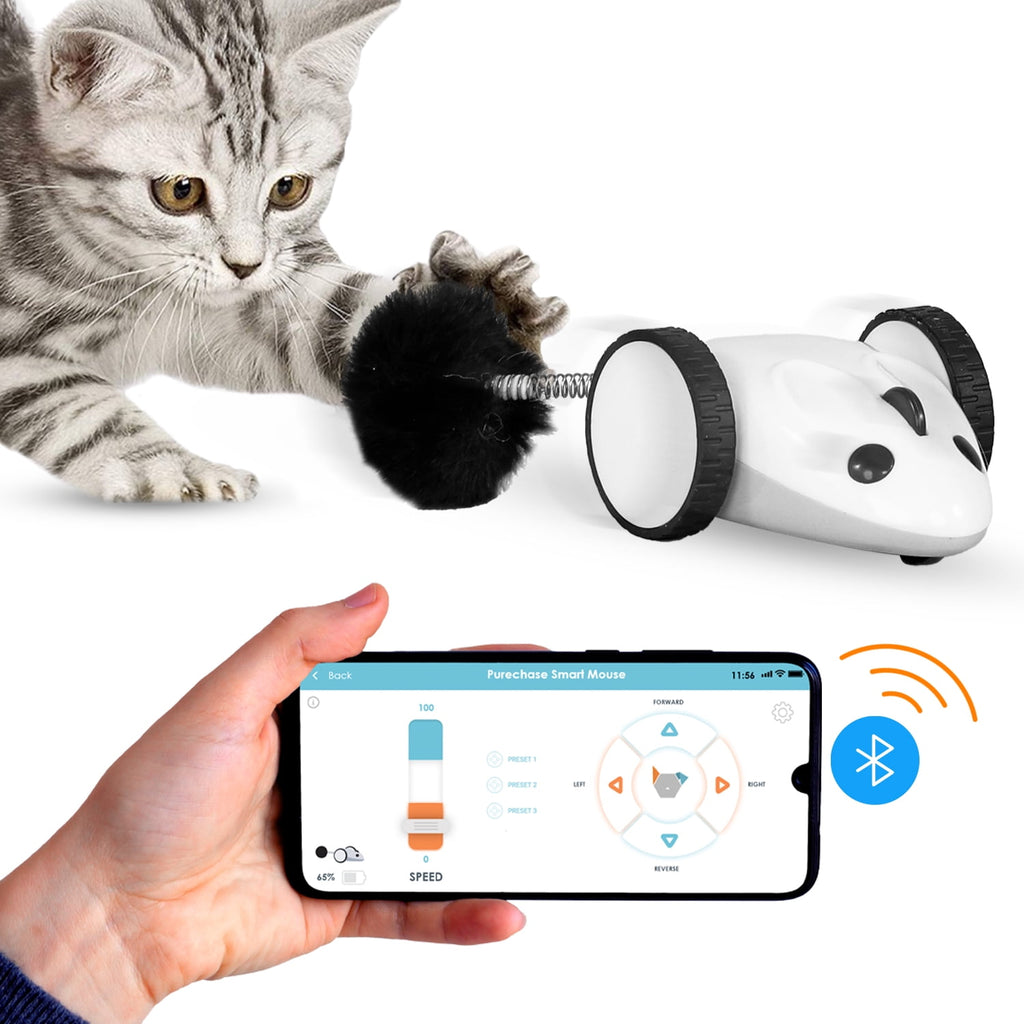 Instachew Purechase Smart Cat Toy, Interactive Automatic Mouse shaped Toy for Pets, App Enabled with Adjustable Speed, Flip Modes, Replaceable Plush Tail and USB Charging for Kittens and Dogs