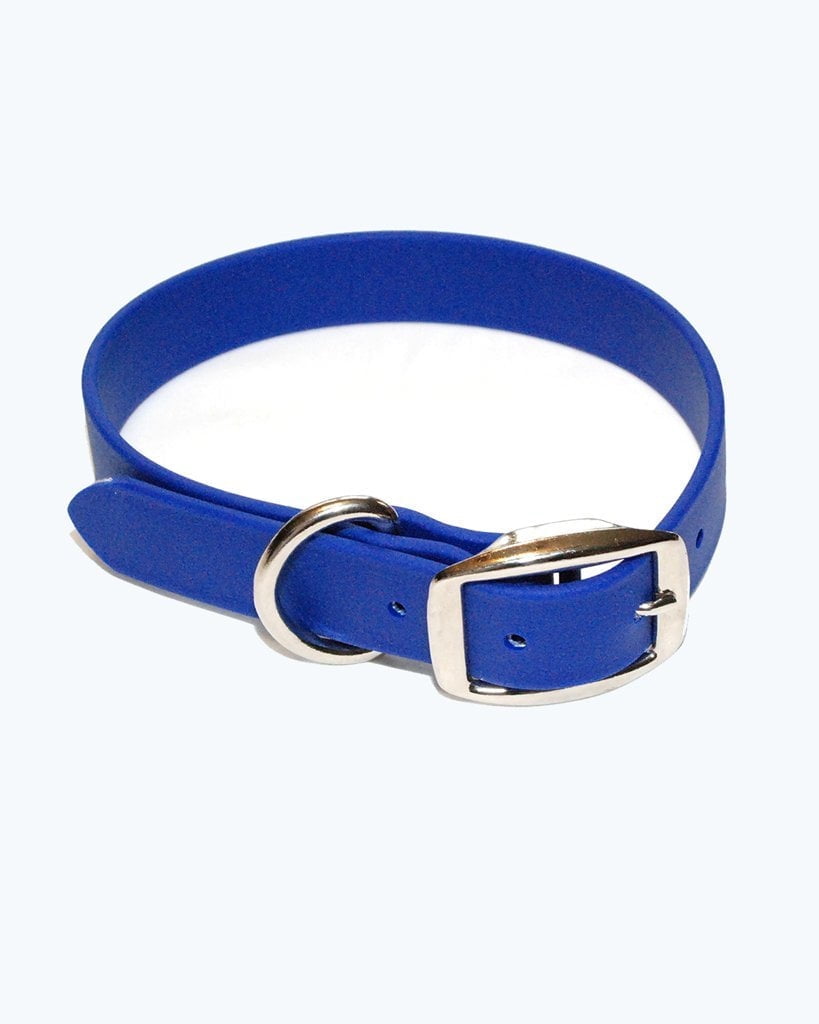 Regal Dog Products Waterproof Collar with Double Buckle and D Ring