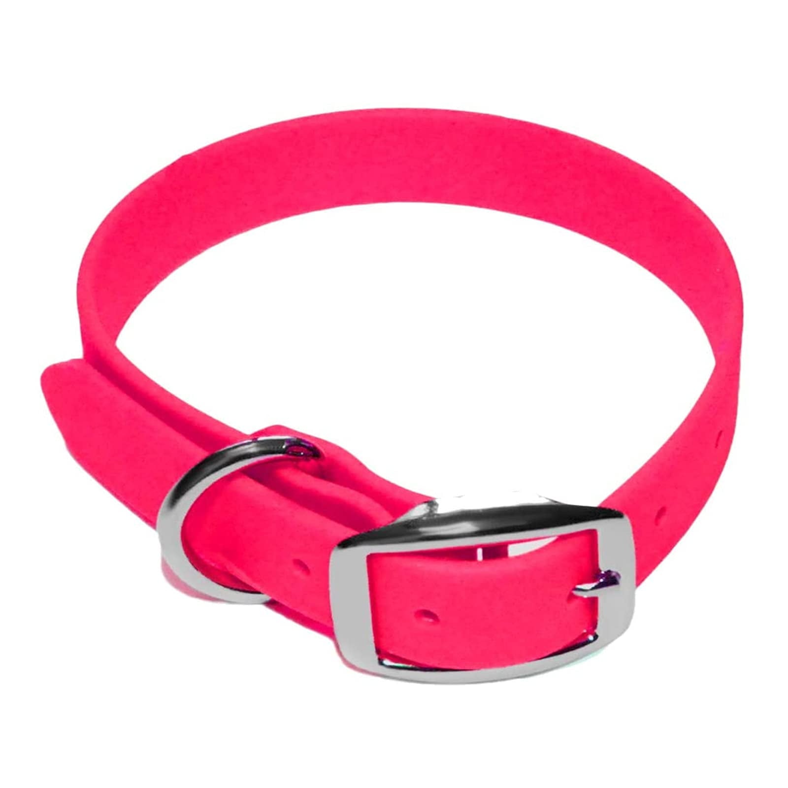 Regal Dog Products Waterproof Collar with Double Buckle and D Ring