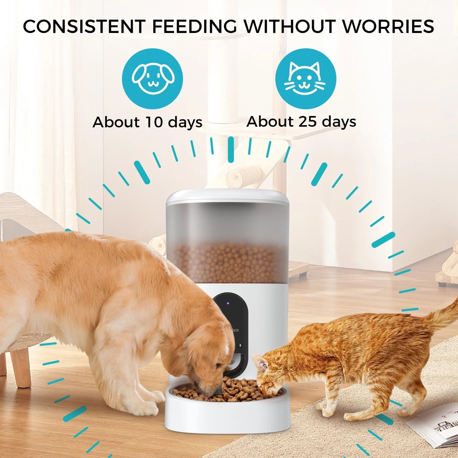 eco4life WiFi Smart Pet Feeder (6L) with Stainless Steel Food Bowl