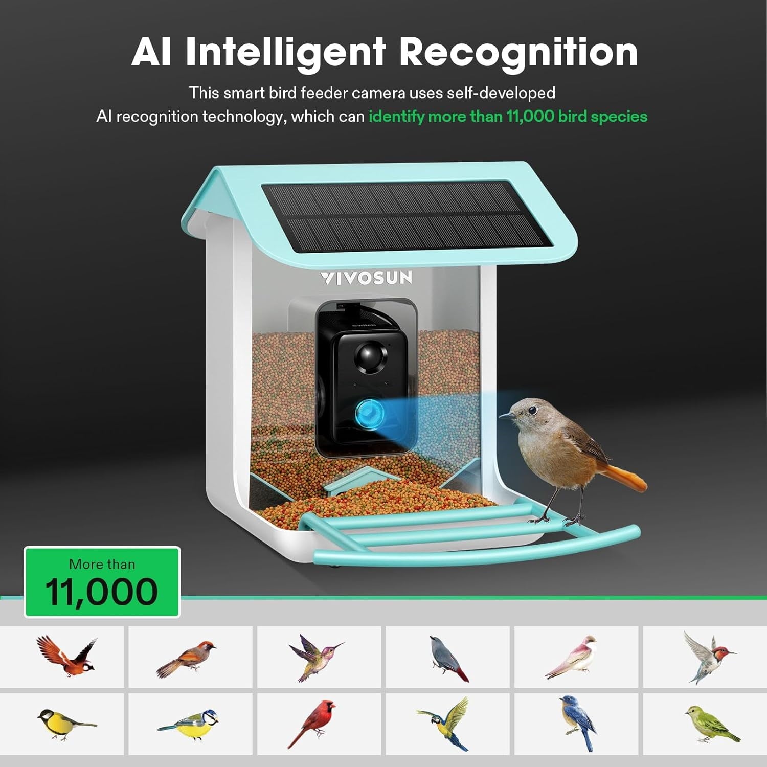 VIVOSUN 2.5L Smart Bird Feeder with Camera, 1080P HD WiFi Camera, Auto Capture Bird Videos & APP Share with 128G TF Card