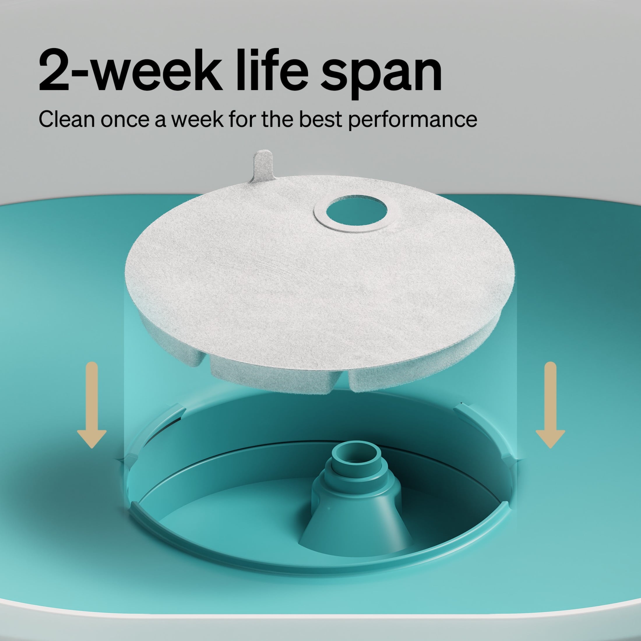 Petlibro Replacement Filters for Capsule Dog Fountain PLWF008; 2-Month Supply, 4-Pack; High-Performance Filtration for Fresh, Clean Water