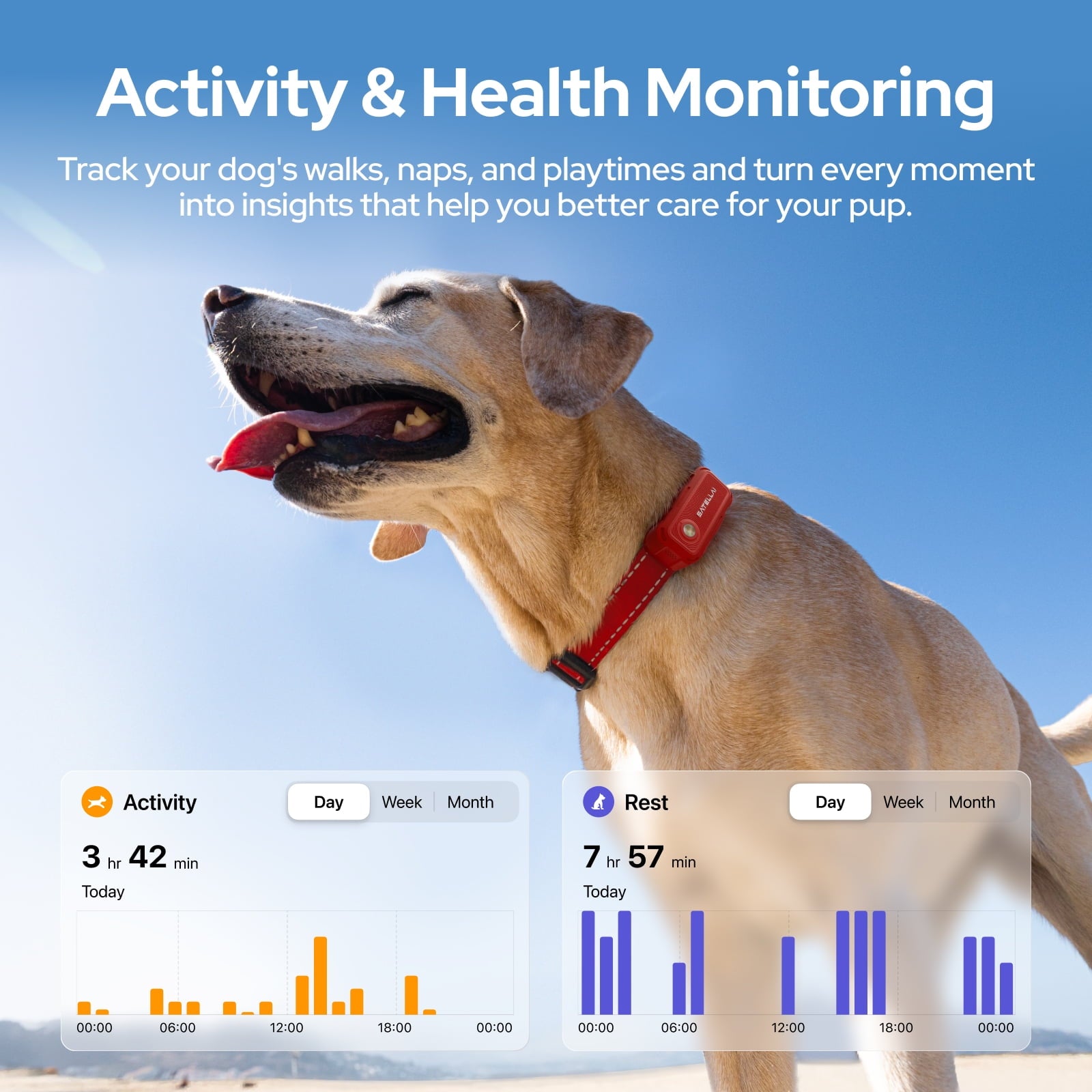 SATELLAI Collar Go, Smart Wireless Fence GPS Dog Collar, Live Tracking & Health Monitoring, 15-Day Max Battery Life (Carbon Black), M(13"-18")