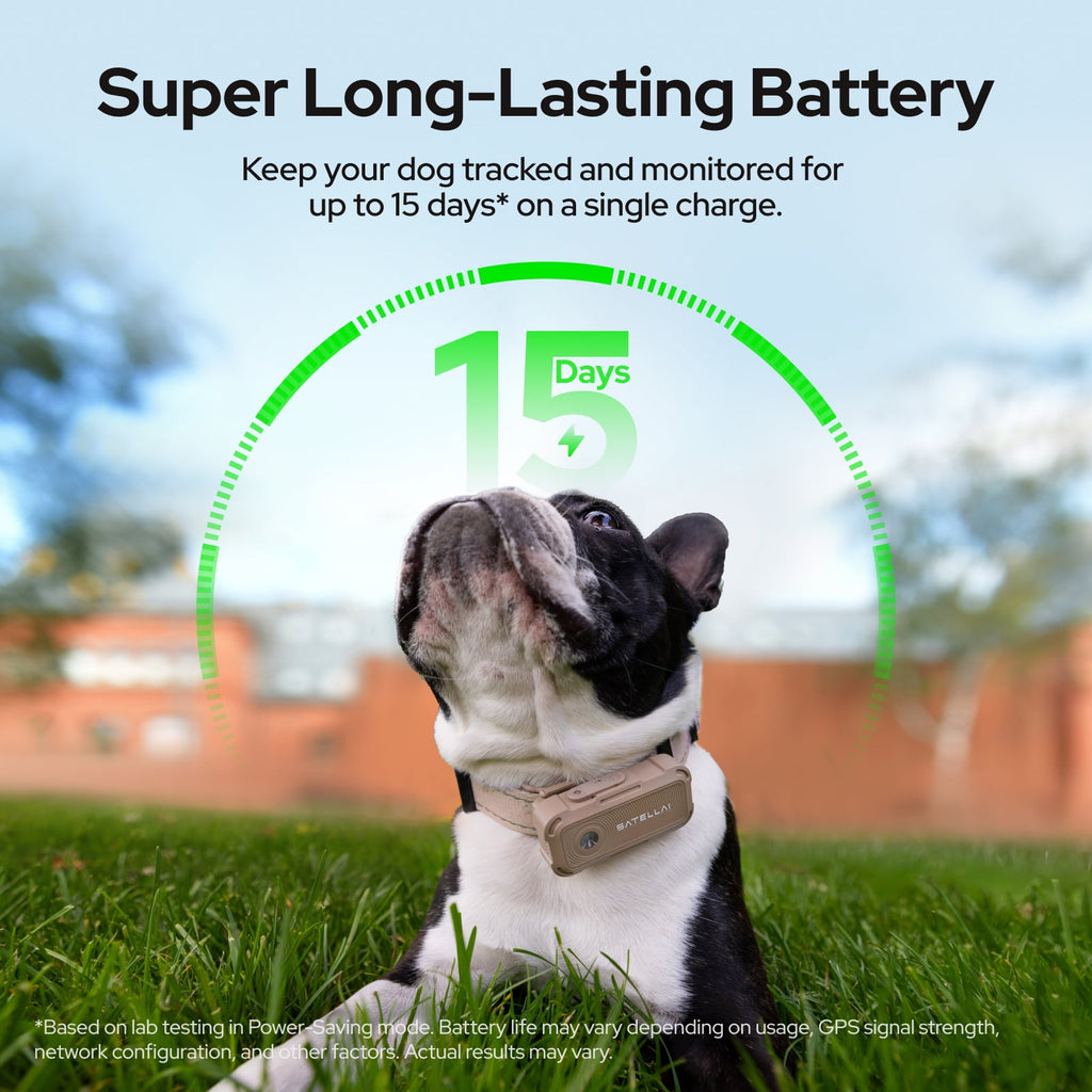 SATELLAI Collar Go, Smart Wireless Fence GPS Dog Collar, Live Tracking & Health Monitoring, 15-Day Max Battery Life (Carbon Black), M(13"-18")