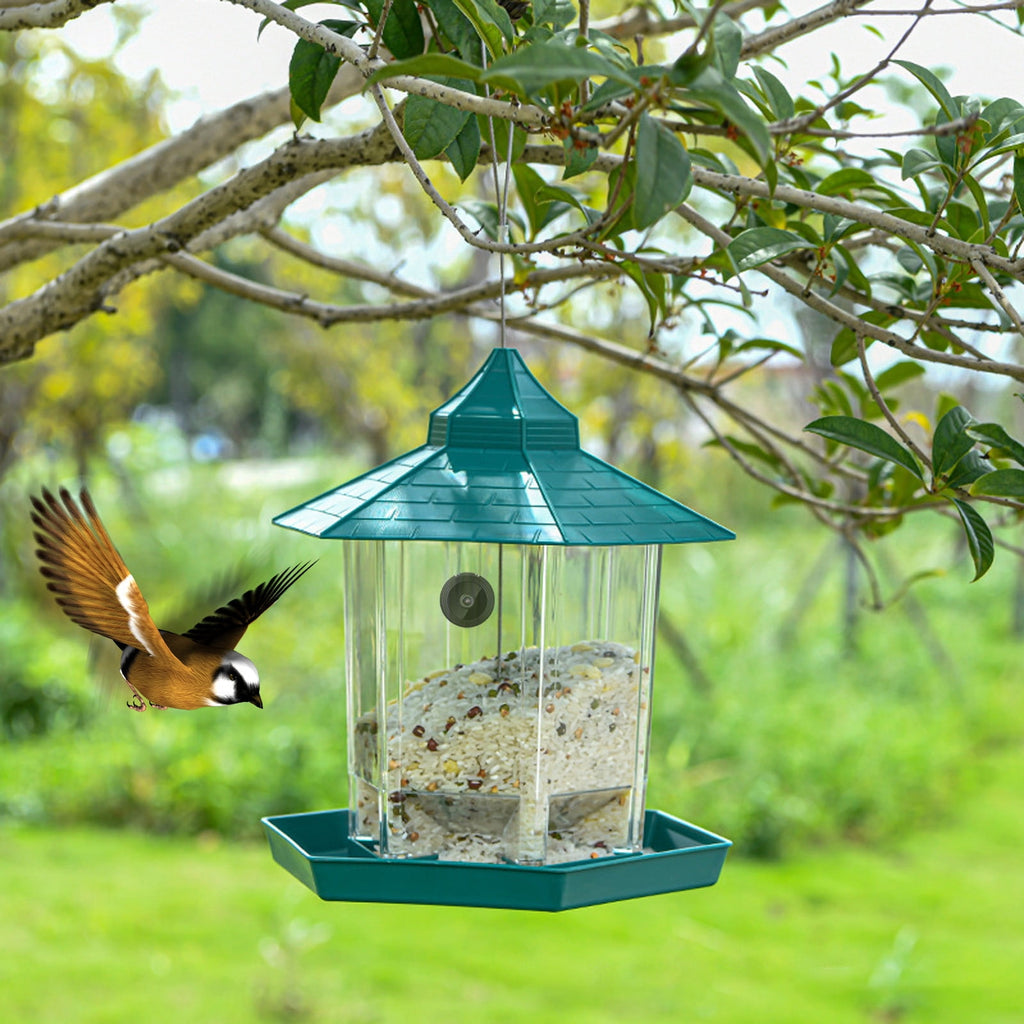 **Bird Feeder with 1080P HD WiFi Camera & Night Vision – Remote Live Streaming to Phone, 170° View & Built-In Mic for Bird Watching Enthusi