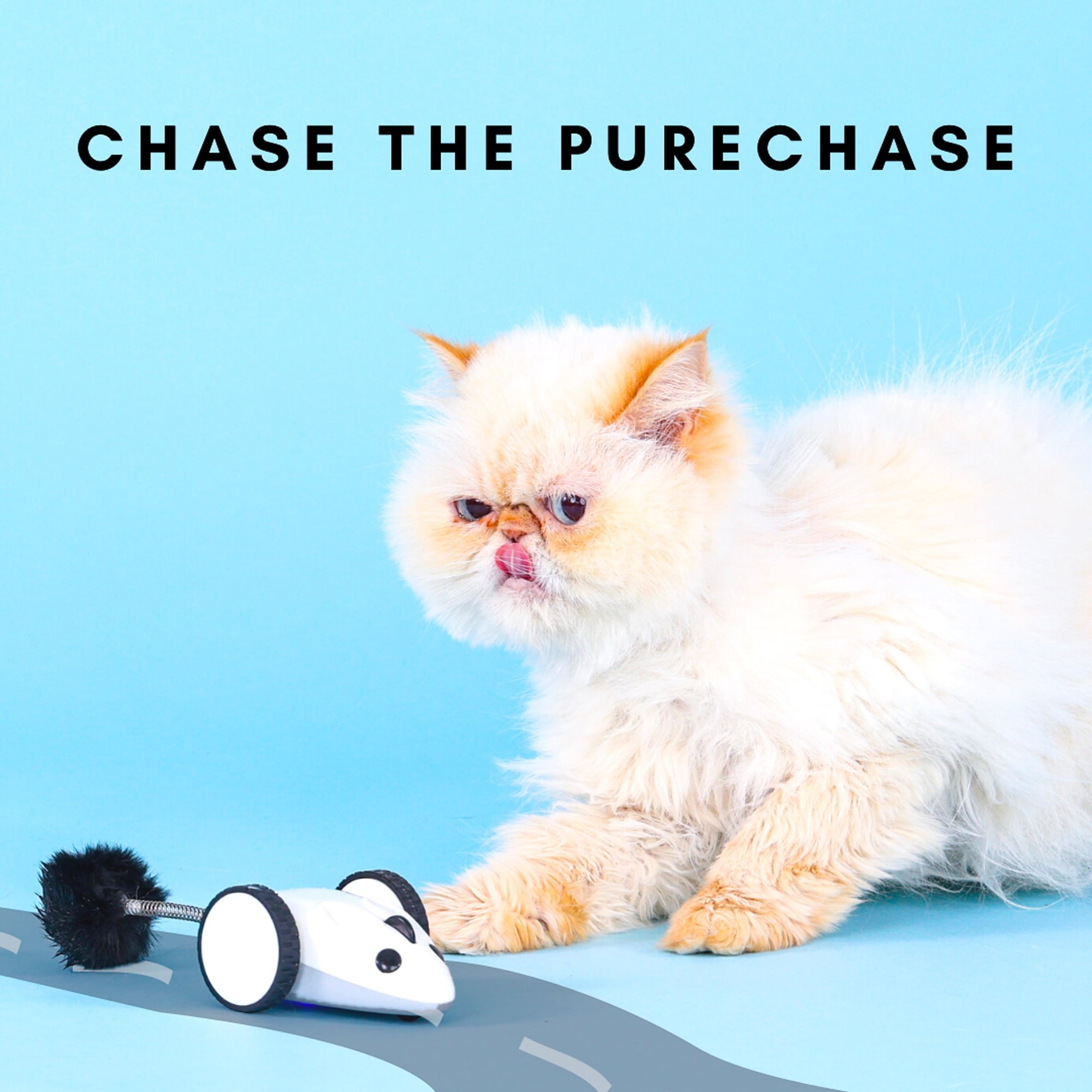 Instachew Purechase Smart Cat Toy, Interactive Automatic Mouse shaped Toy for Pets, App Enabled with Adjustable Speed, Flip Modes, Replaceable Plush Tail and USB Charging for Kittens and Dogs