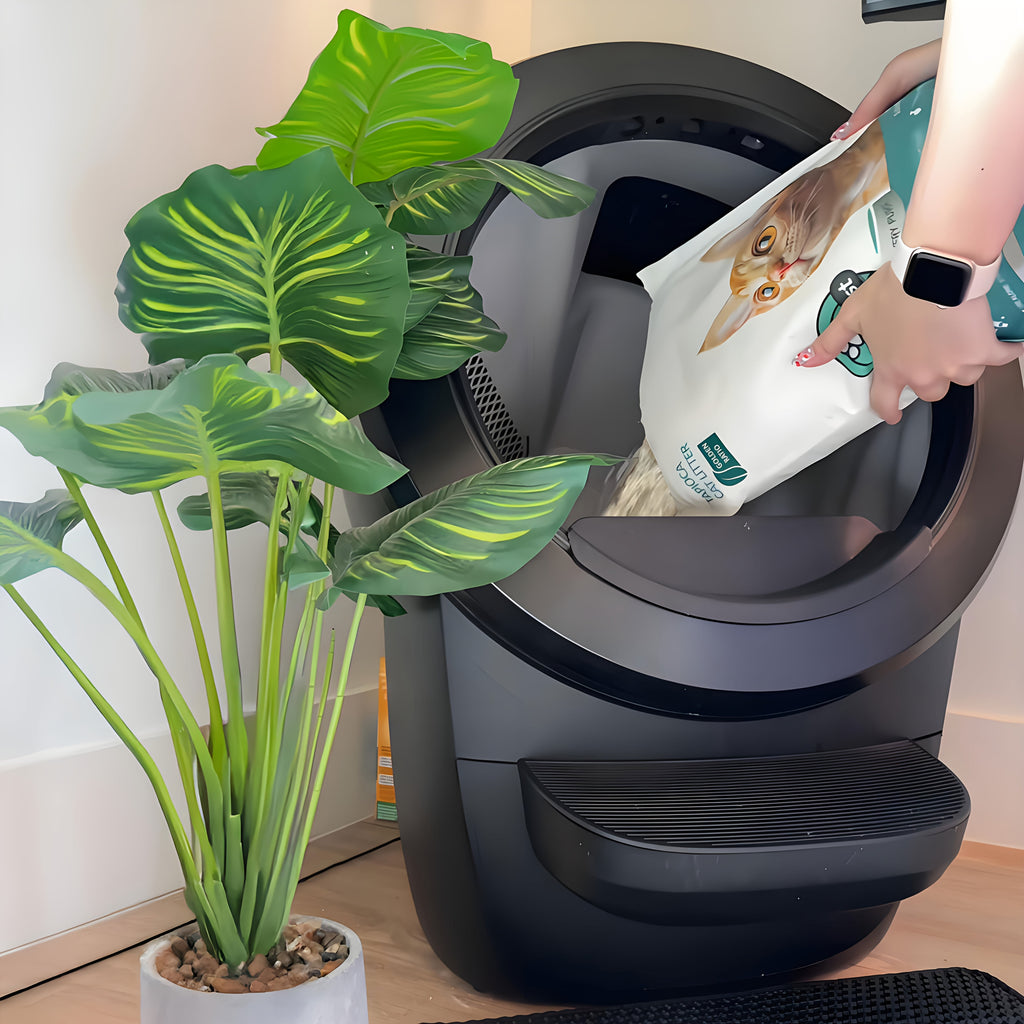 6 Pack Tofu Tapioca Cat Litter - Flushable Quick Clumping Low Dust Odor Control, for Automatic Litter Boxes Sensitive Paws, Ideal for Smart Litter Trays Multi-Cat Households