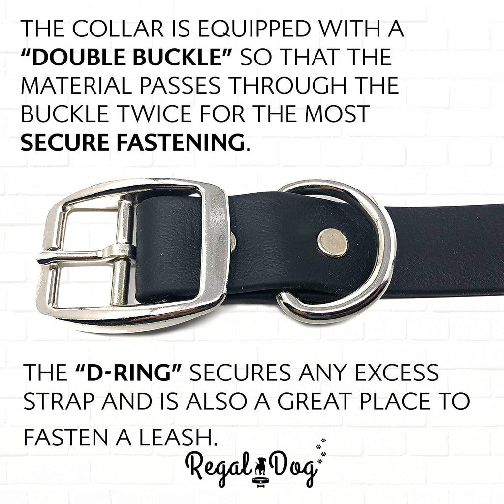 Regal Dog Products Waterproof Collar with Double Buckle and D Ring