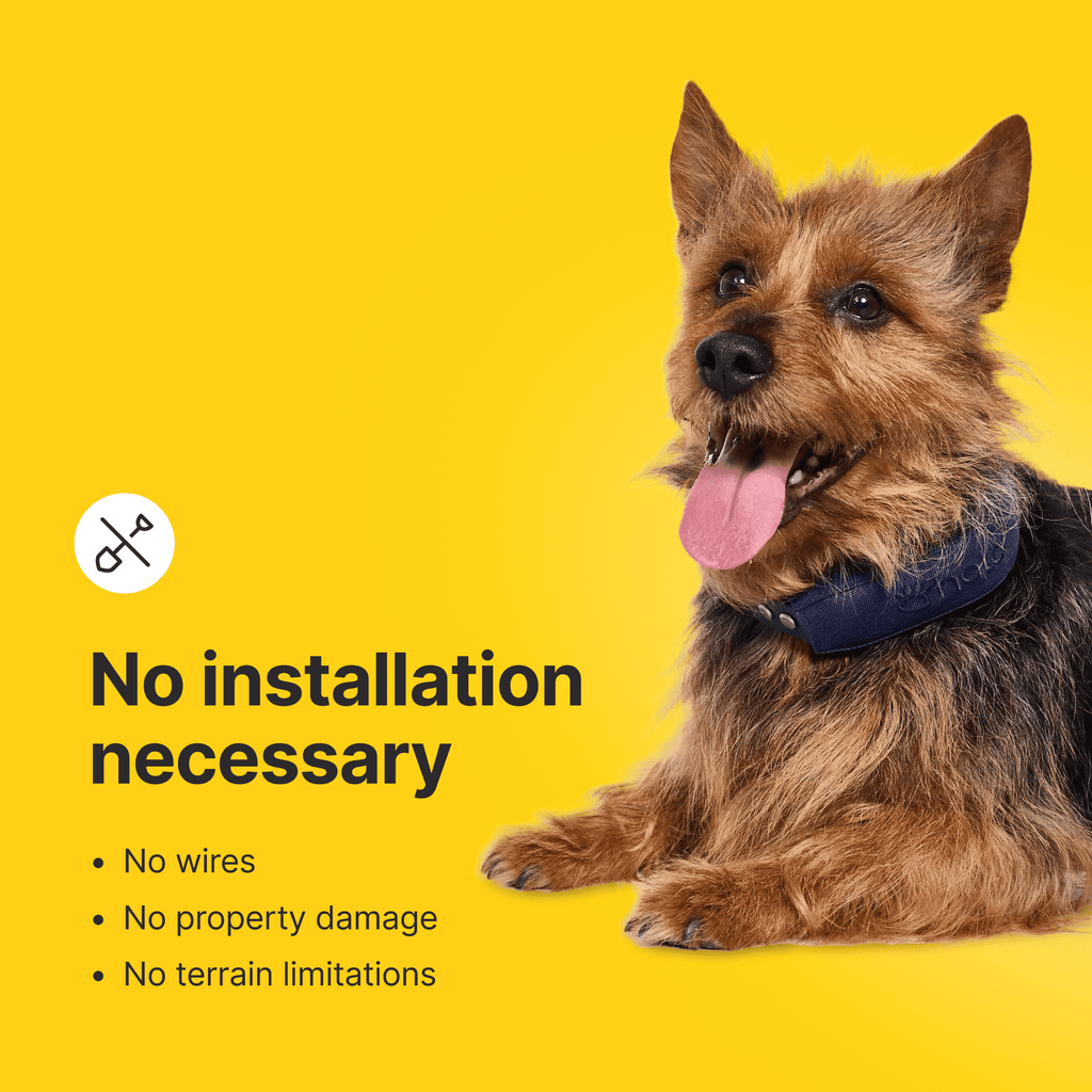 Halo Collar 4, All New GPS Wireless Dog Fence with Real-Time Tracking (Midnight)