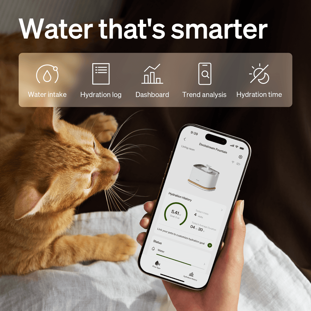 PETLIBRO Upgrade Cat Water Fountain, Cordless Cat Fountain Battery Operated, App Monitoring 3L/101oz Dockstream 2 Pet Water Fountain with Stainless Steel Tray, 5GHz WiFi Dog Water Bowl Dispenser