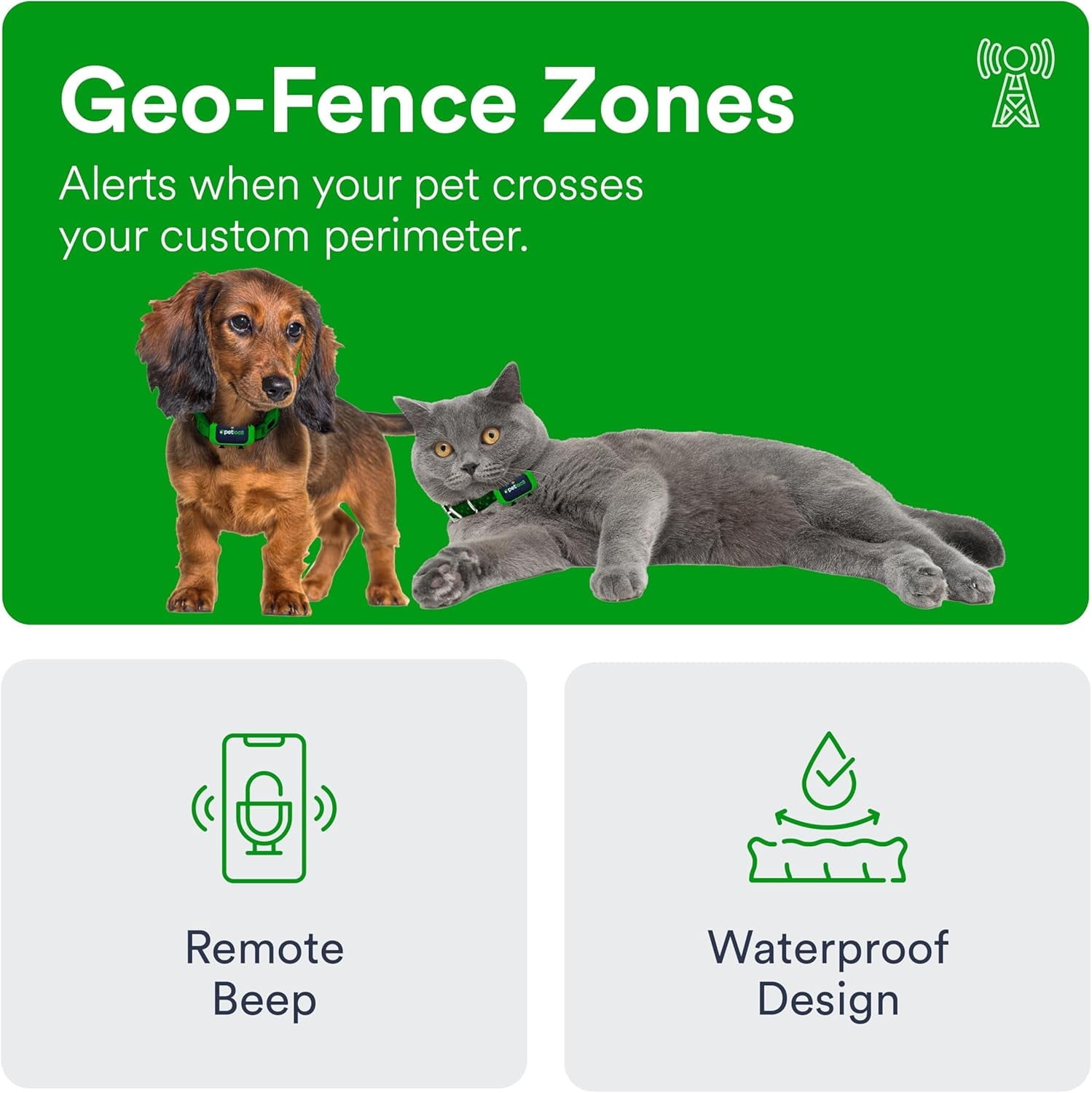 Small GPS Cat and Dog Tracker from Petloc8 - Fits on your Dog or Cat Collar, Long Battery Life, Waterproof, Geofencing and Pet Location History, Subscription is Required
