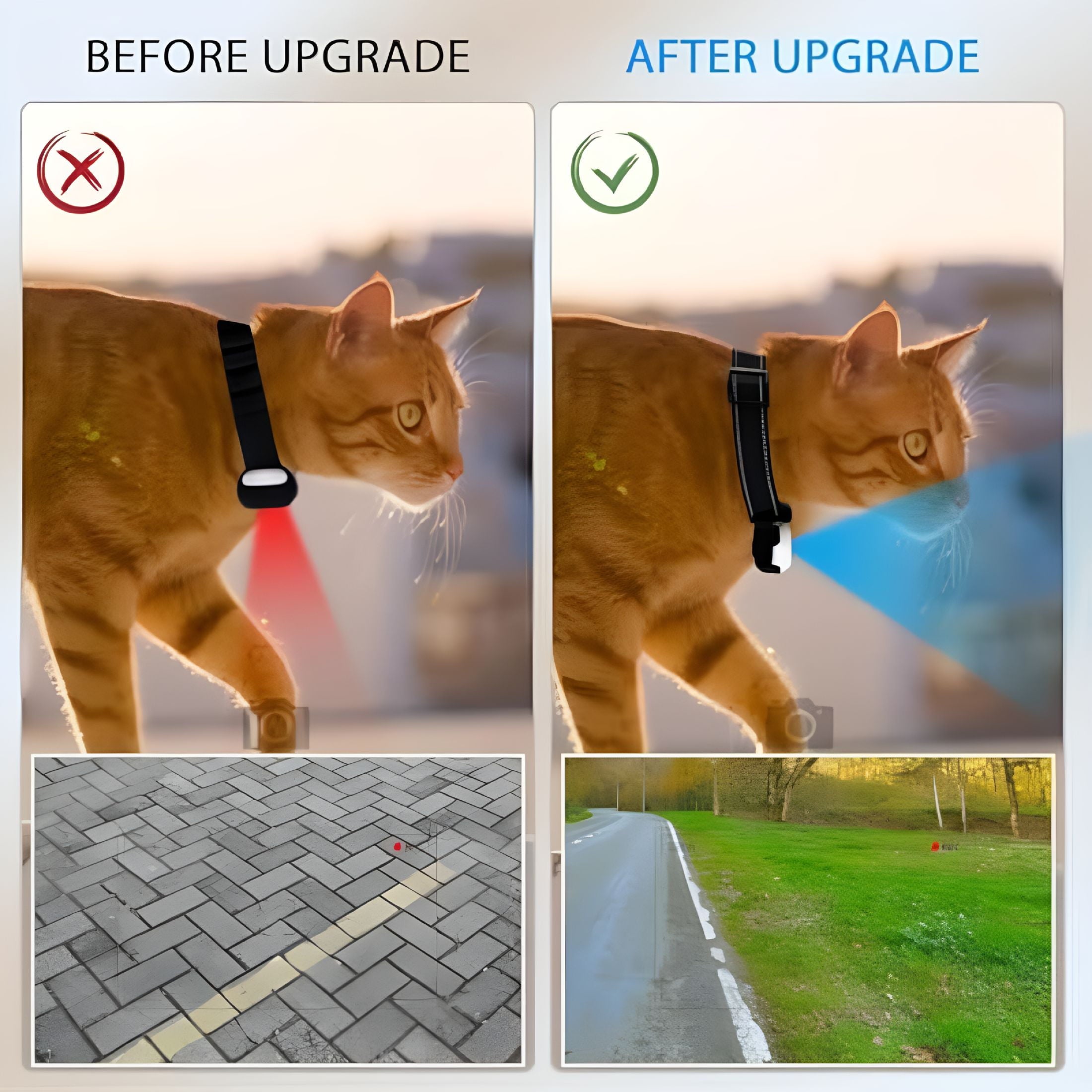 GJX Cat Cam Pro 2.0 Pet Action Camera for Cats & Dogs, Multi-Mount Accessories for Adventures, 1080p HD Waterproof Wearable Camera (White No Card)