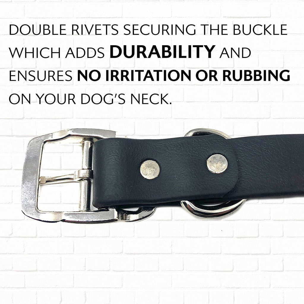 Regal Dog Products Waterproof Collar with Double Buckle and D Ring