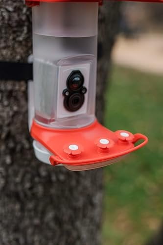 FeatherSnap Smart Hummingbird Feeder with HD Camera  WiFi Solar Bird Feeder, Motion Sensor, App Alerts, Live Video, Photo Capture  1L Capacity, SD Card & Cleaning Cloth Included