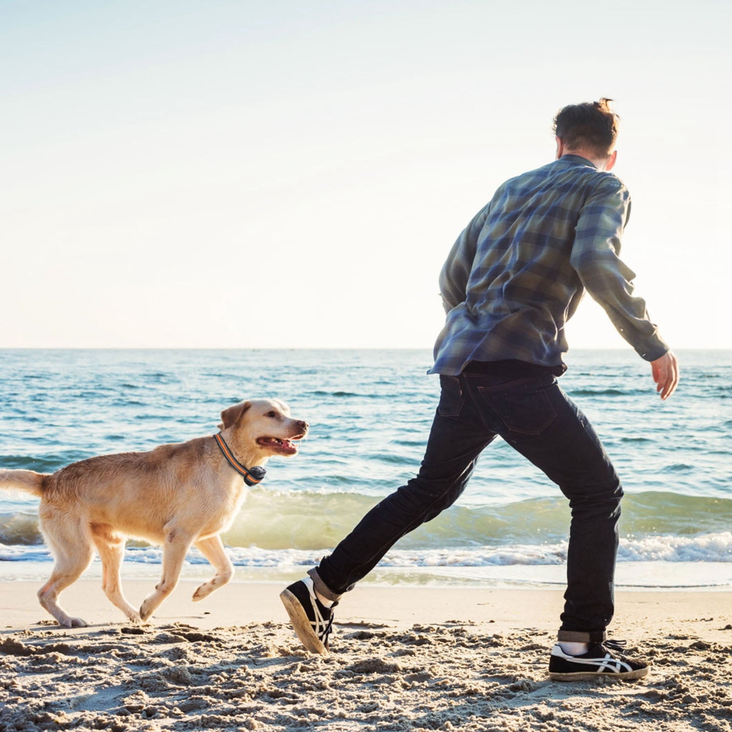 GPS Wireless Dog Fence TeqHome Electric Dog Collar Fence Pet Containment System Range 32-2887ft Rechargeable Harmless Suitable for All Dogs